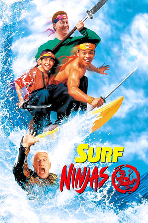 Les Fous Du Surf Ninjas